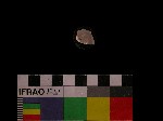 V19d8218 J1q850.3 Q921 dM f233 la.jpg